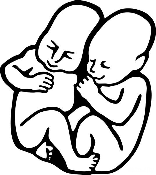 pohoda_festival_logo_babatka_3.jpg